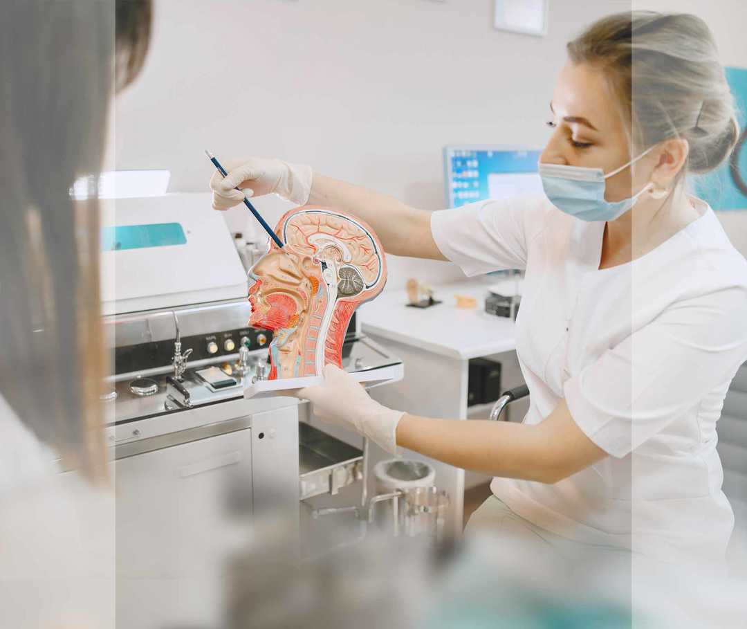 Nasenpolypen Therapie Operation Artikelbild 02 Ein Ärztin erläutert einer Patientin den Aufbau der Nase und der Nasenhöhlen.